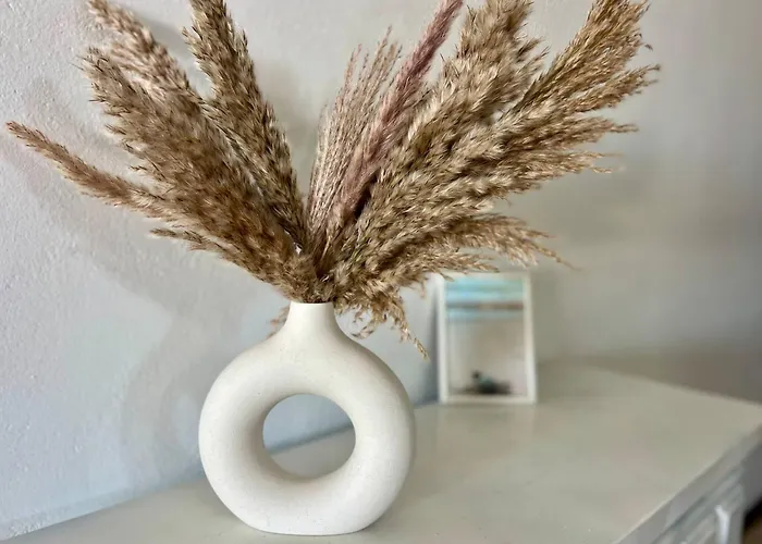 Vista Paraiso 蒂亚斯